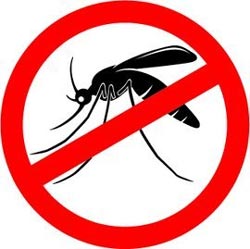 The Mosquito Eaters Guarantee Brookfield