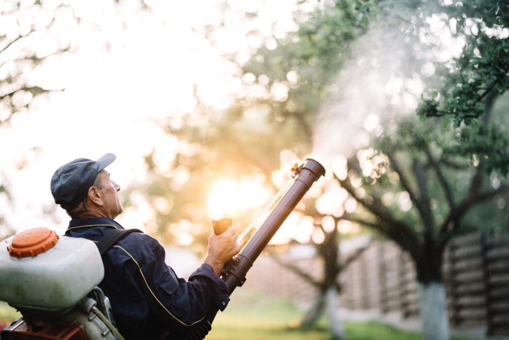 Residential Mosquito Treatment Sussex