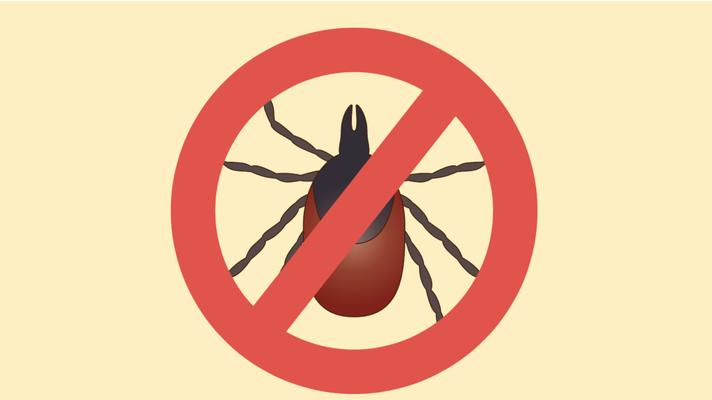 Tick Removal Services Brookfield